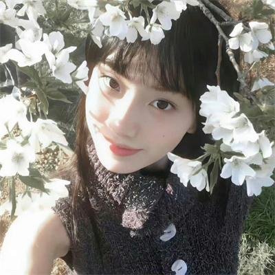 晚间的柳枝